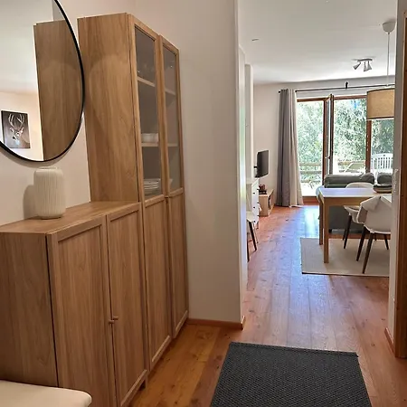 Panorama Hirsch - 2 Bedrooms, 2 Bathrooms, Near Slope Апартаменти *